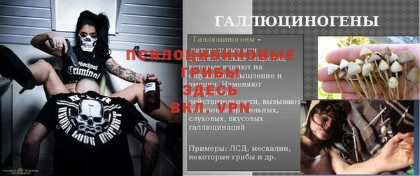 спайс Калининец