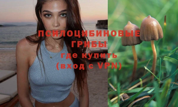 дмт Зерноград