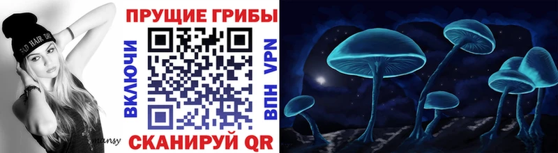 мега   Луга  Галлюциногенные грибы Psilocybe 