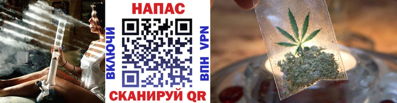 купить сайты Луга Конопля OG Kush